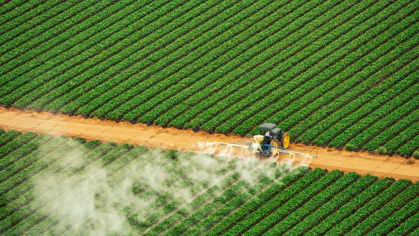Best Ant Control Services  in Northfield, KY