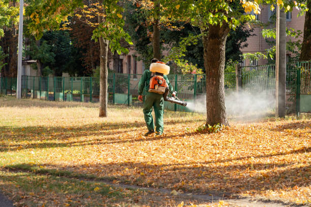 Flea Control Services in Northfield, KY