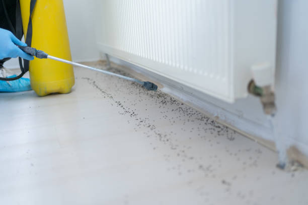 Best Pest Prevention Services  in Northfield, KY