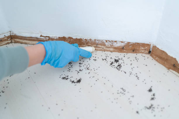 Best Exterminator Services  in Northfield, KY